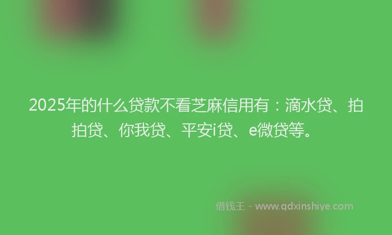 2025年的什么贷款不看芝麻信用有：滴水贷、拍拍贷、你我贷、平安i贷、e微贷等。
