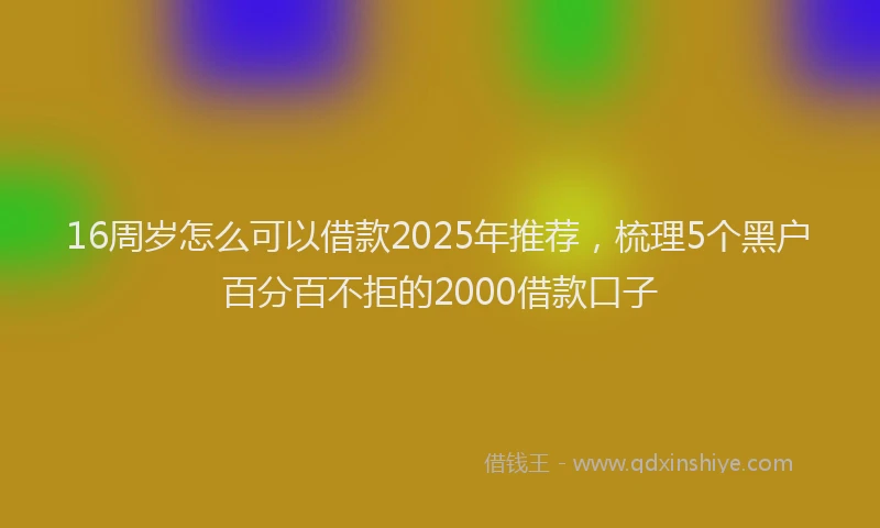 16周岁怎么可以借款2025年推荐，梳理5个黑户百分百不拒的2000借款口子