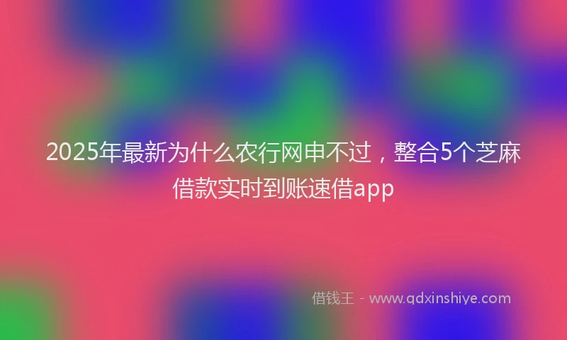 2025年最新为什么农行网申不过，整合5个芝麻借款实时到账速借app