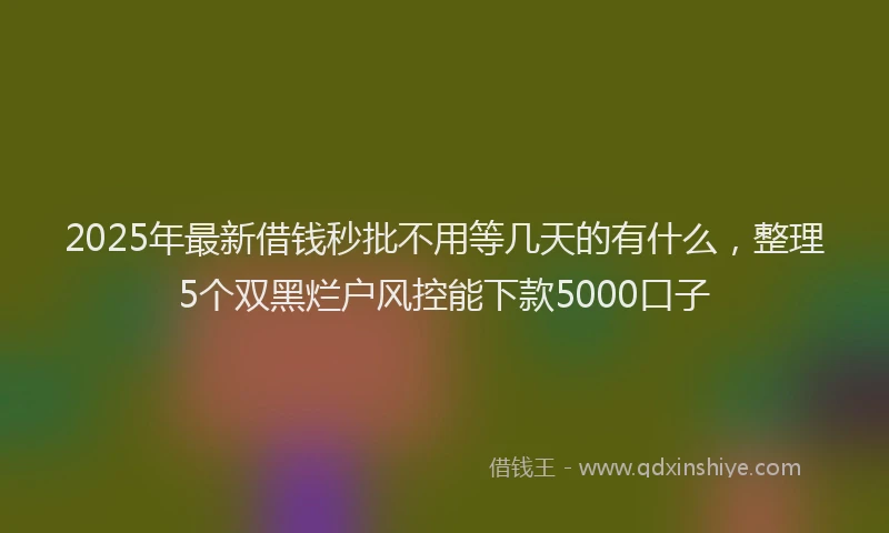 2025年最新借钱秒批不用等几天的有什么，整理5个双黑烂户风控能下款5000口子