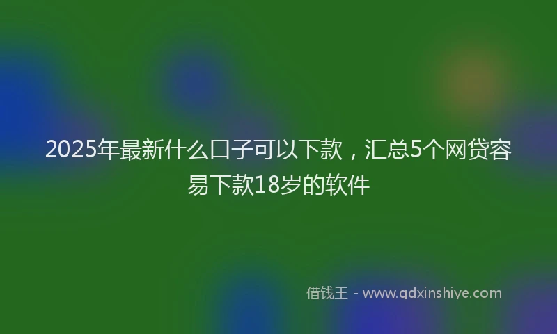 2025年最新什么口子可以下款，汇总5个网贷容易下款18岁的软件