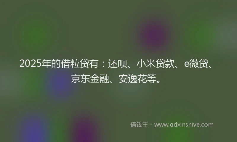 2025年的借粒贷有：还呗、小米贷款、e微贷、京东金融、安逸花等。