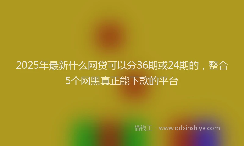 2025年最新什么网贷可以分36期或24期的，整合5个网黑真正能下款的平台