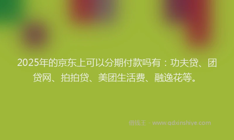 2025年的京东上可以分期付款吗有：功夫贷、团贷网、拍拍贷、美团生活费、融逸花等。