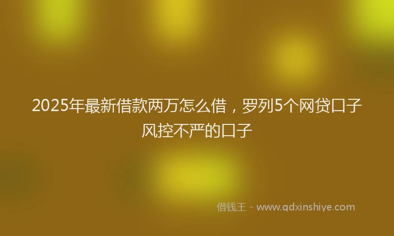 2025年最新借款两万怎么借，罗列5个网贷口子风控不严的口子