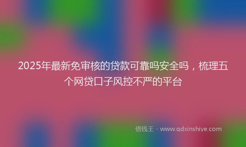 2025年最新免审核的贷款可靠吗安全吗，梳理五个网贷口子风控不严的平台