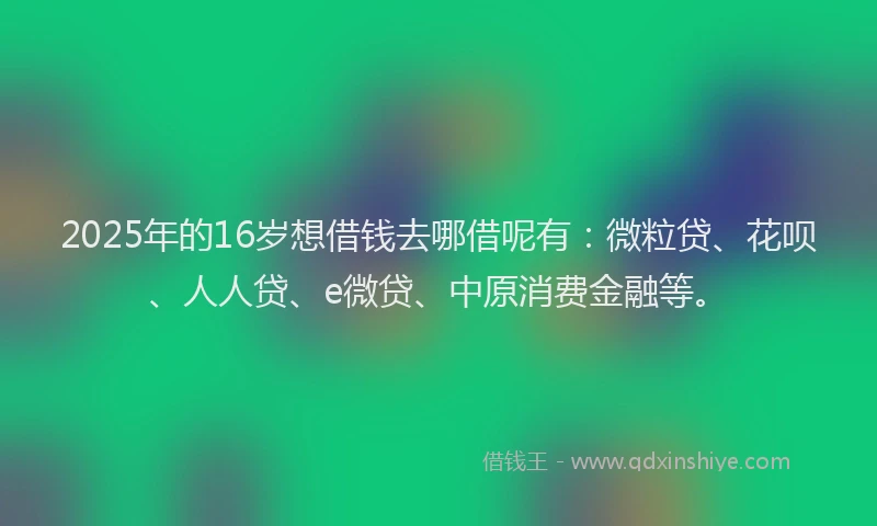 2025年的16岁想借钱去哪借呢有：微粒贷、花呗、人人贷、e微贷、中原消费金融等。
