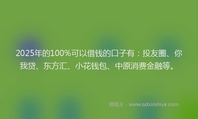 2025年的100%可以借钱的口子有：投友圈、你我贷、东方汇、小花钱包、中原消费金融等。