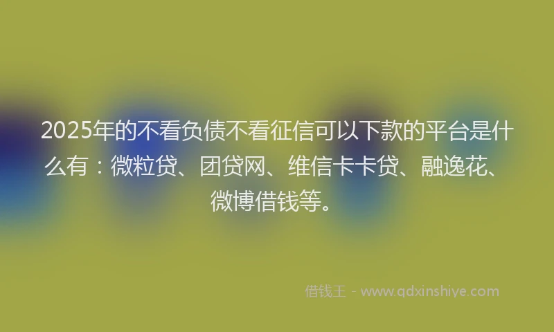 2025年的不看负债不看征信可以下款的平台是什么有：微粒贷、团贷网、维信卡卡贷、融逸花、微博借钱等。