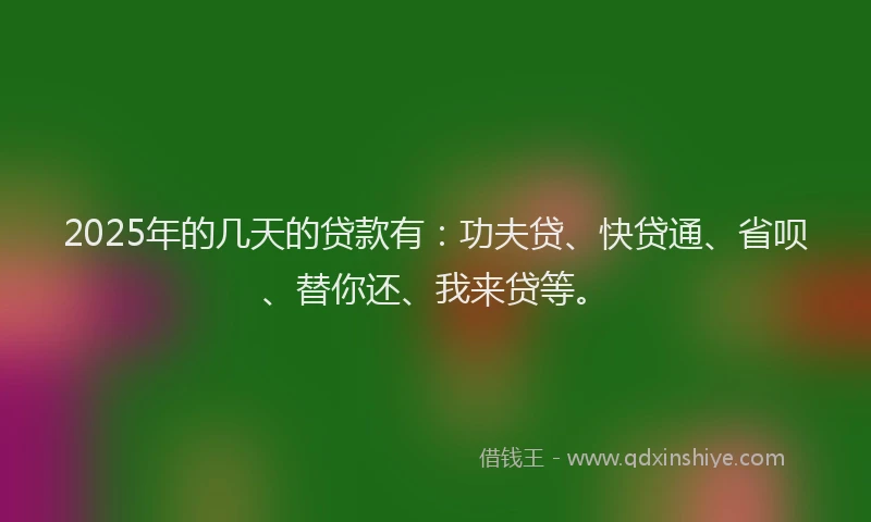 2025年的几天的贷款有：功夫贷、快贷通、省呗、替你还、我来贷等。