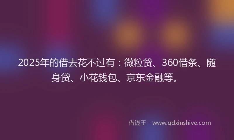 2025年的借去花不过有：微粒贷、360借条、随身贷、小花钱包、京东金融等。