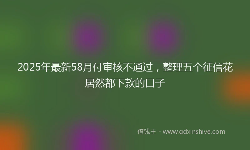 2025年最新58月付审核不通过，整理五个征信花居然都下款的口子