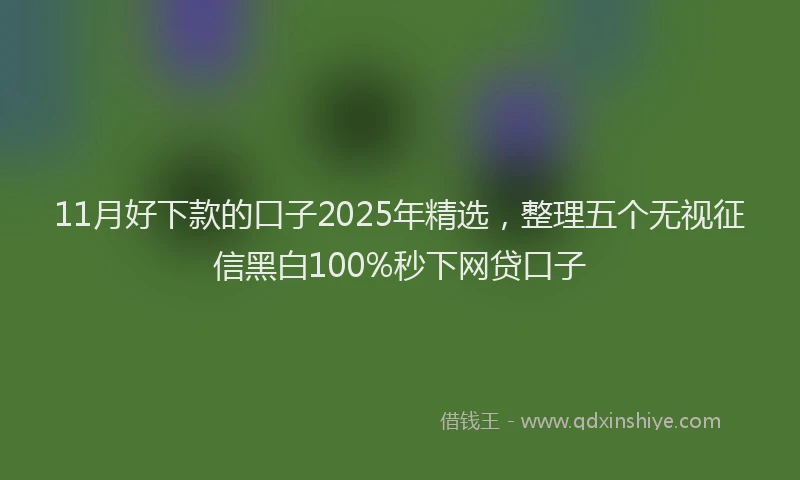11月好下款的口子2025年精选，整理五个无视征信黑白100%秒下网贷口子