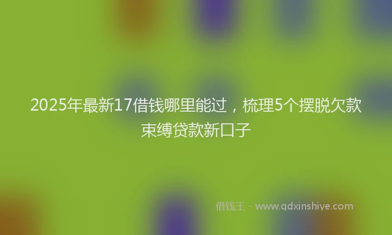 2025年最新17借钱哪里能过，梳理5个摆脱欠款束缚贷款新口子