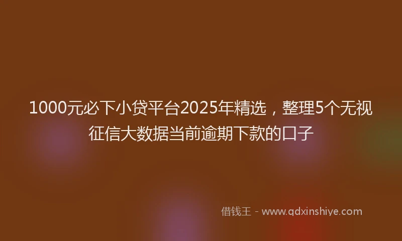 1000元必下小贷平台2025年精选，整理5个无视征信大数据当前逾期下款的口子