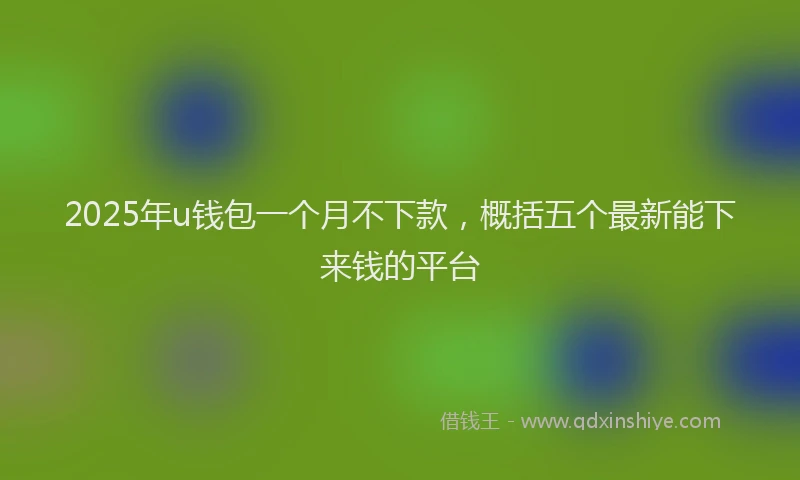 2025年u钱包一个月不下款，概括五个最新能下来钱的平台