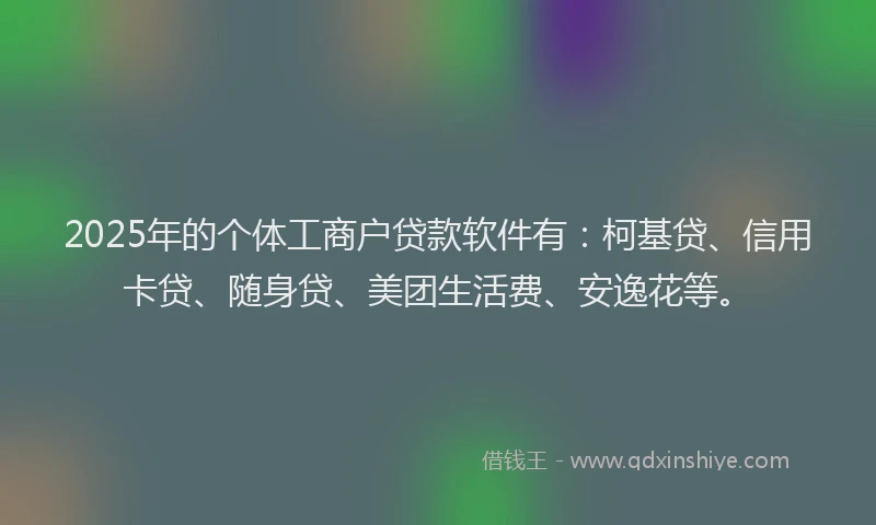 2025年的个体工商户贷款软件有：柯基贷、信用卡贷、随身贷、美团生活费、安逸花等。