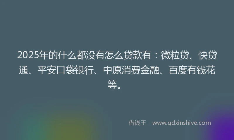 2025年的什么都没有怎么贷款有：微粒贷、快贷通、平安口袋银行、中原消费金融、百度有钱花等。