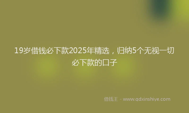 19岁借钱必下款2025年精选，归纳5个无视一切必下款的口子