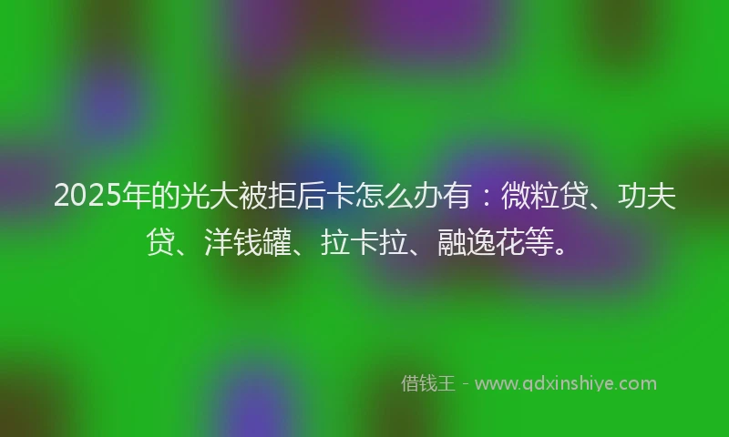 2025年的光大被拒后卡怎么办有：微粒贷、功夫贷、洋钱罐、拉卡拉、融逸花等。