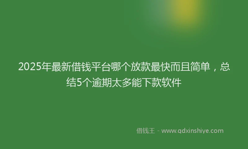 2025年最新借钱平台哪个放款最快而且简单，总结5个逾期太多能下款软件