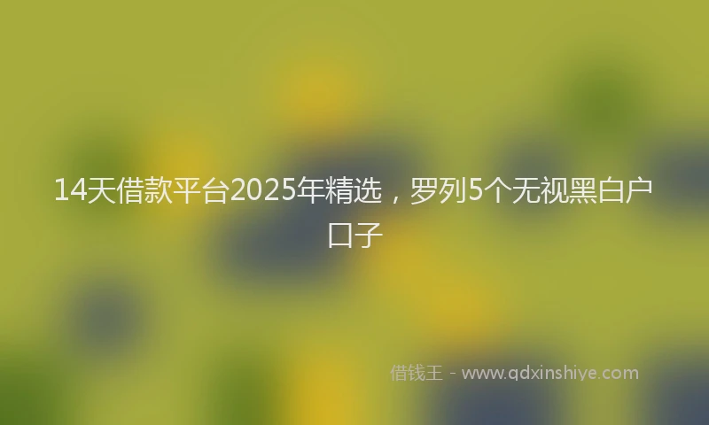 14天借款平台2025年精选，罗列5个无视黑白户口子