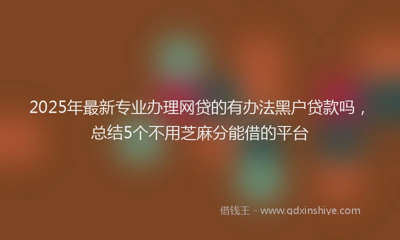 2025年最新专业办理网贷的有办法黑户贷款吗，总结5个不用芝麻分能借的平台
