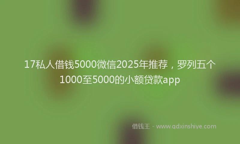 17私人借钱5000微信2025年推荐，罗列五个1000至5000的小额贷款app