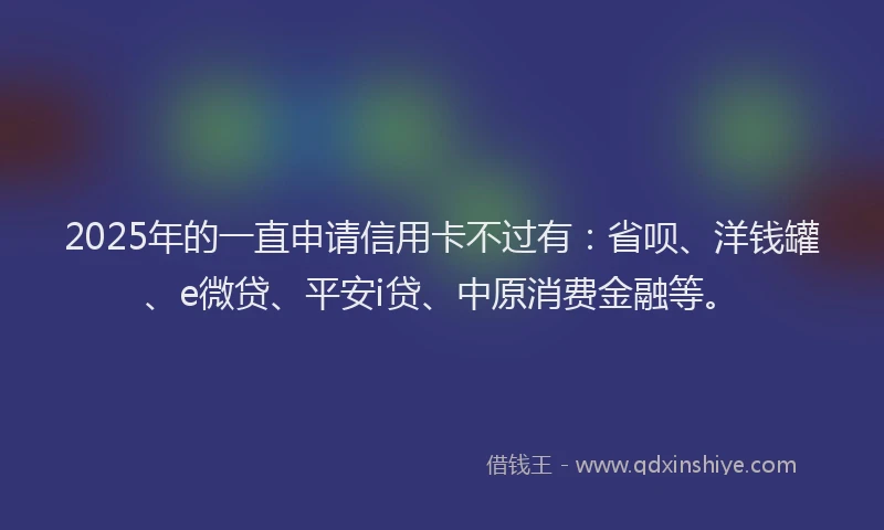 2025年的一直申请信用卡不过有：省呗、洋钱罐、e微贷、平安i贷、中原消费金融等。
