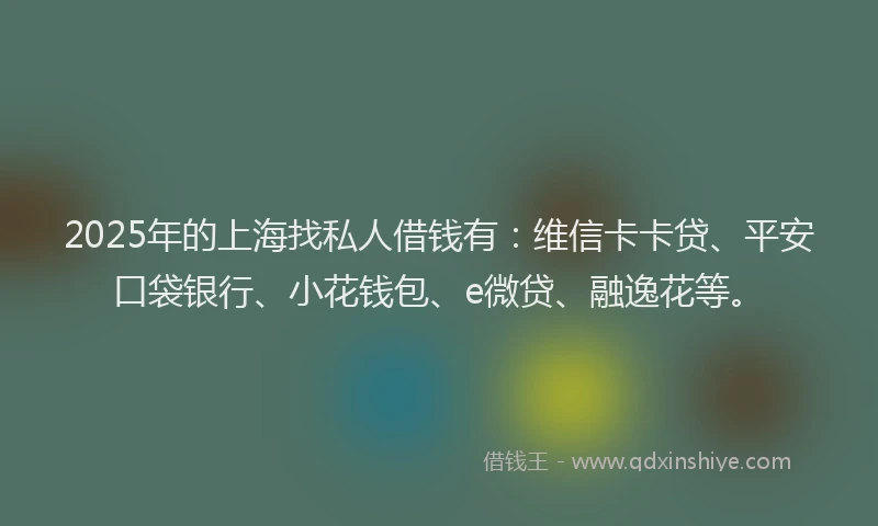 2025年的上海找私人借钱有：维信卡卡贷、平安口袋银行、小花钱包、e微贷、融逸花等。