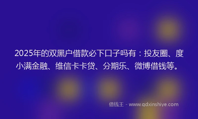 2025年的双黑户借款必下口子吗有：投友圈、度小满金融、维信卡卡贷、分期乐、微博借钱等。