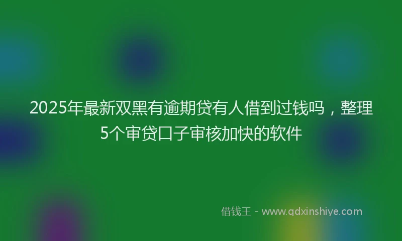 2025年最新双黑有逾期贷有人借到过钱吗，整理5个审贷口子审核加快的软件