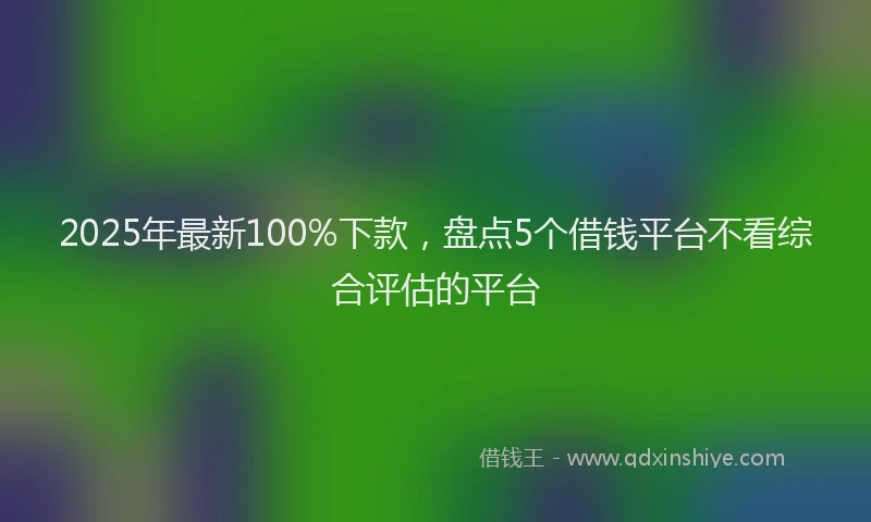 2025年最新100%下款，盘点5个借钱平台不看综合评估的平台