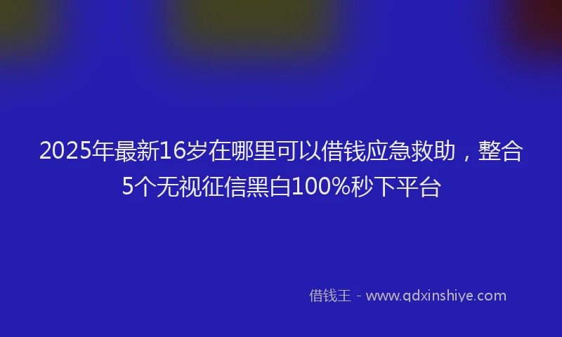 2025年最新16岁在哪里可以借钱应急救助，整合5个无视征信黑白100%秒下平台