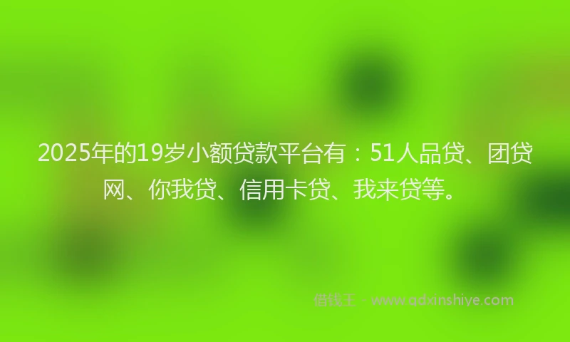 2025年的19岁小额贷款平台有：51人品贷、团贷网、你我贷、信用卡贷、我来贷等。