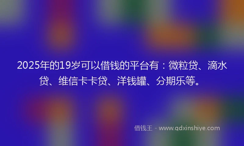2025年的19岁可以借钱的平台有：微粒贷、滴水贷、维信卡卡贷、洋钱罐、分期乐等。