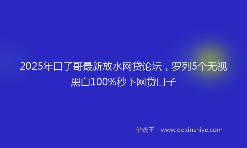 2025年口子哥最新放水网贷论坛，罗列5个无视黑白100%秒下网贷口子