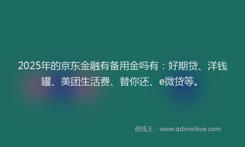 2025年的京东金融有备用金吗有：好期贷、洋钱罐、美团生活费、替你还、e微贷等。