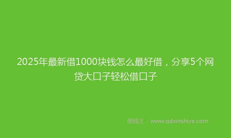 2025年最新借1000块钱怎么最好借，分享5个网贷大口子轻松借口子
