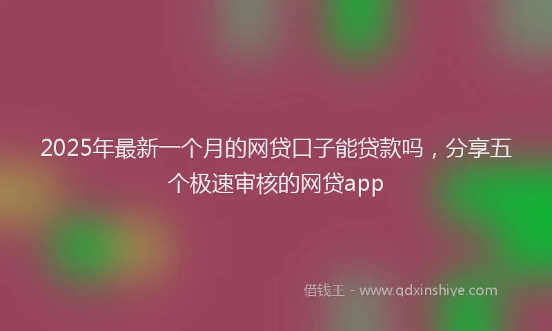 2025年最新一个月的网贷口子能贷款吗，分享五个极速审核的网贷app