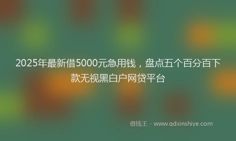 2025年最新借5000元急用钱，盘点五个百分百下款无视黑白户网贷平台