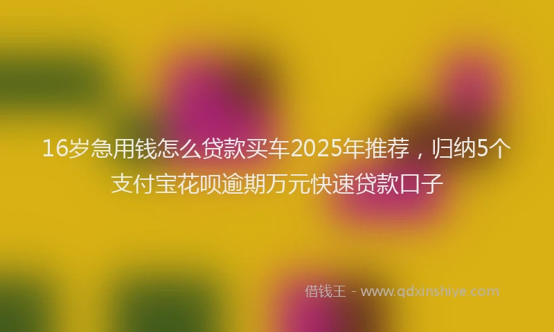 16岁急用钱怎么贷款买车2025年推荐，归纳5个支付宝花呗逾期万元快速贷款口子