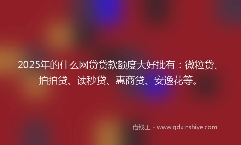 2025年的什么网贷贷款额度大好批有：微粒贷、拍拍贷、读秒贷、惠商贷、安逸花等。