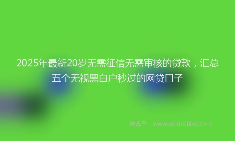 2025年最新20岁无需征信无需审核的贷款，汇总五个无视黑白户秒过的网贷口子