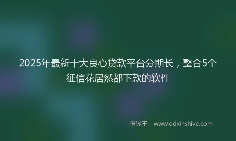2025年最新十大良心贷款平台分期长，整合5个征信花居然都下款的软件