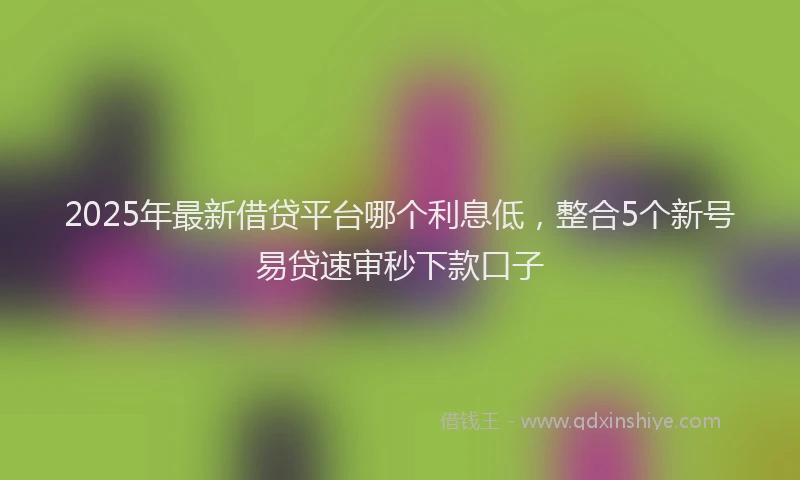 2025年最新借贷平台哪个利息低，整合5个新号易贷速审秒下款口子
