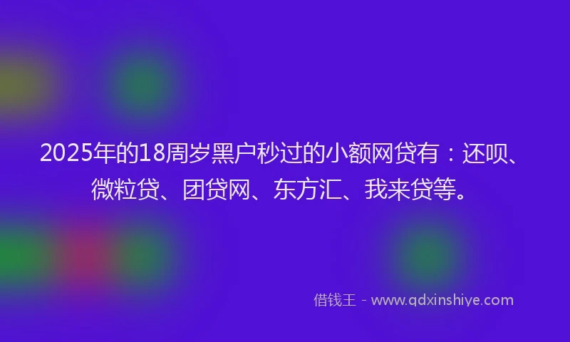 2025年的18周岁黑户秒过的小额网贷有：还呗、微粒贷、团贷网、东方汇、我来贷等。