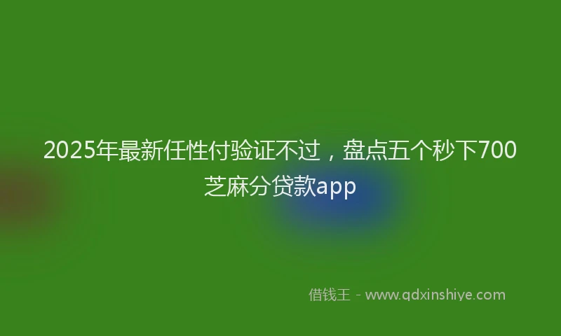 2025年最新任性付验证不过，盘点五个秒下700芝麻分贷款app