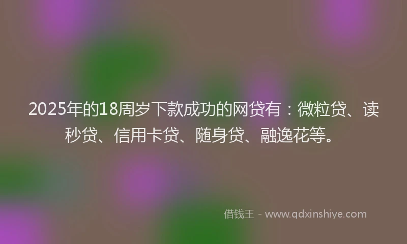 2025年的18周岁下款成功的网贷有：微粒贷、读秒贷、信用卡贷、随身贷、融逸花等。
