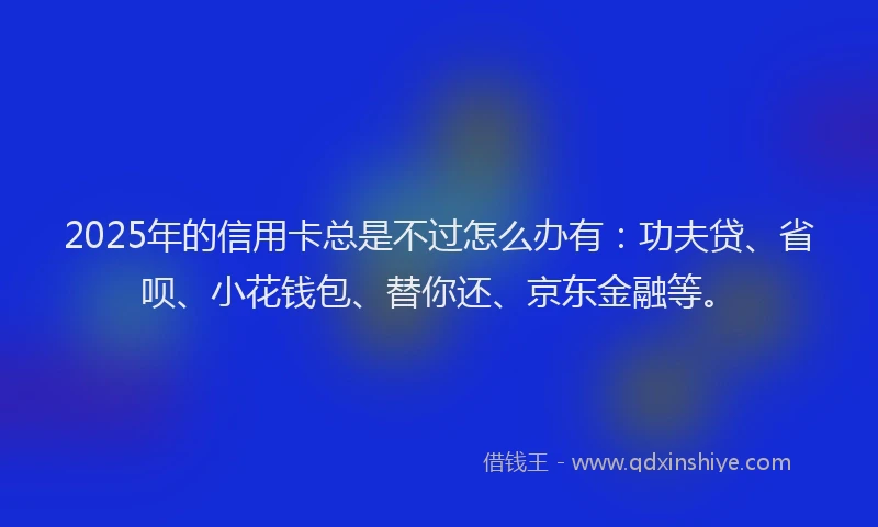 2025年的信用卡总是不过怎么办有：功夫贷、省呗、小花钱包、替你还、京东金融等。